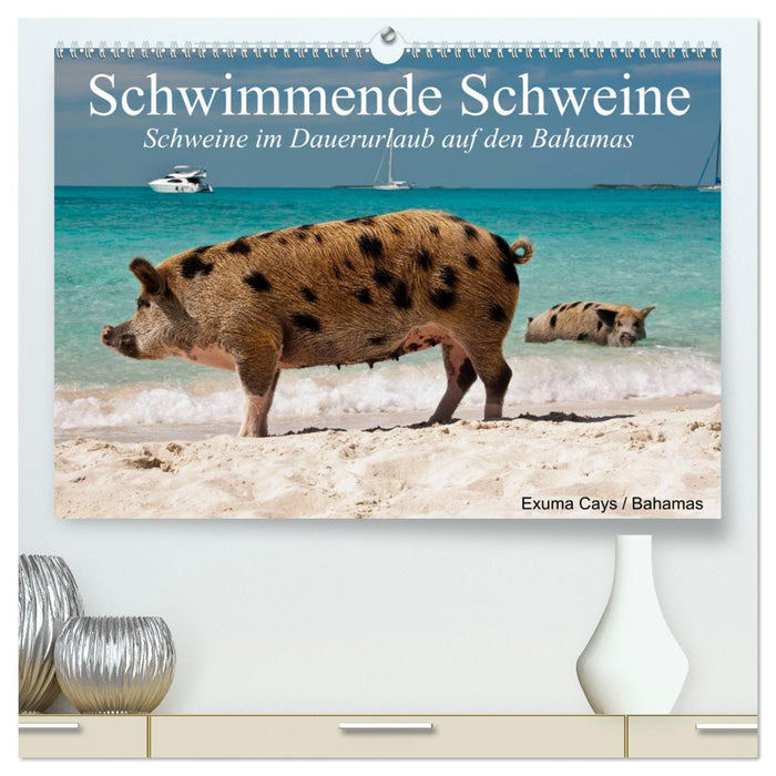 Schwimmende Schweine (CALVENDO Premium Wandkalender 2025)