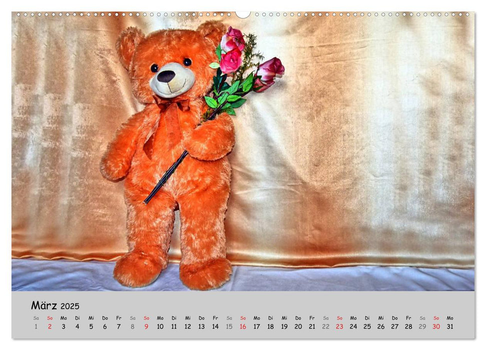 TEDDYBÄR, OH TEDDYBÄR... (CALVENDO Premium Wandkalender 2025)