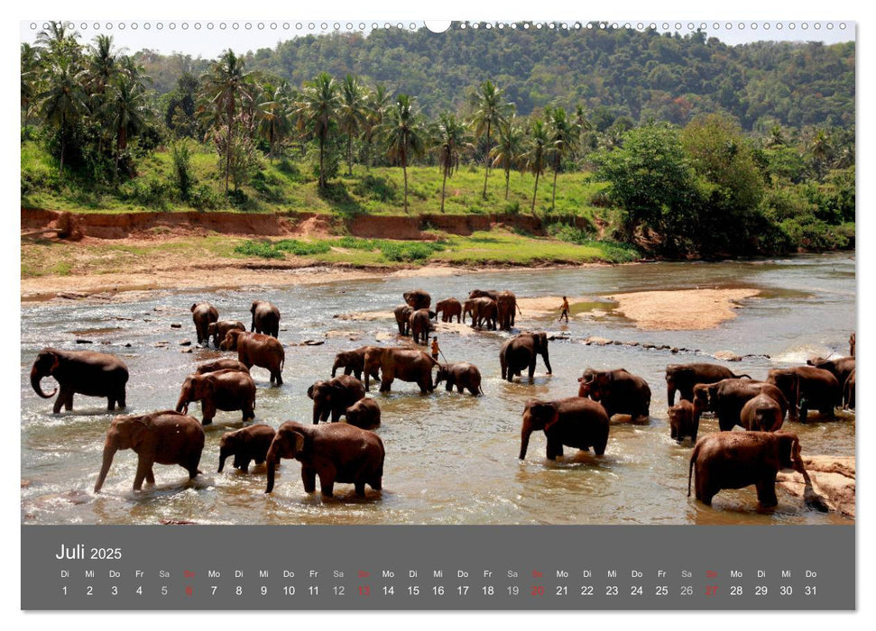 Sri Lanka-Trauminsel im Indischen Ozean (CALVENDO Premium Wandkalender 2025)