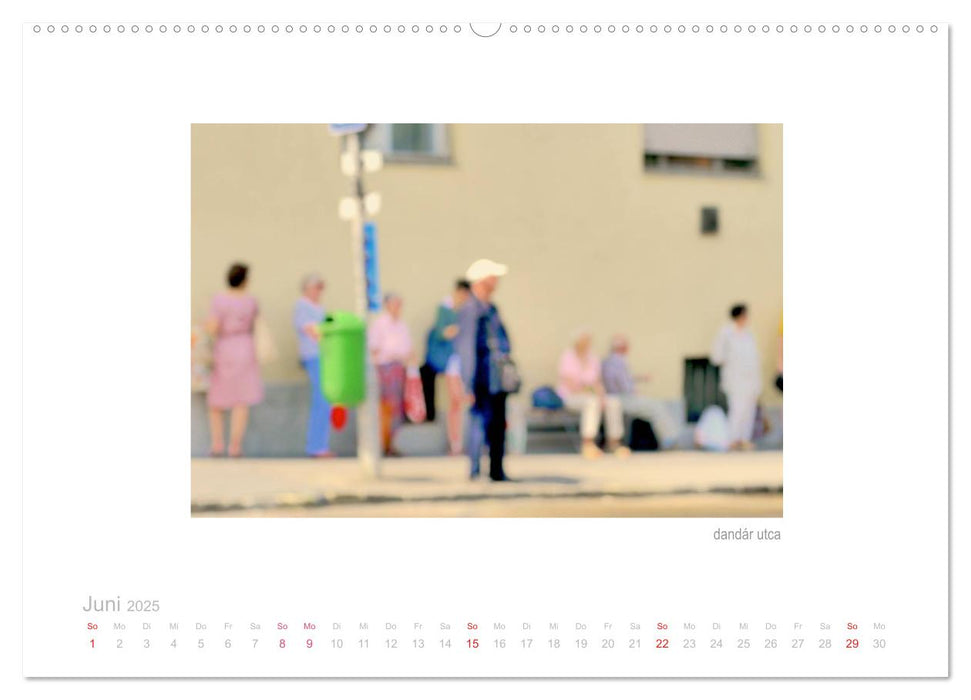 allenthalben (CALVENDO Premium Wandkalender 2025)