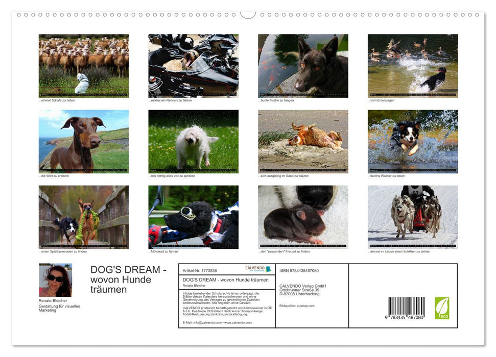 DOG'S DREAM - wovon Hunde träumen (CALVENDO Premium Wandkalender 2025)