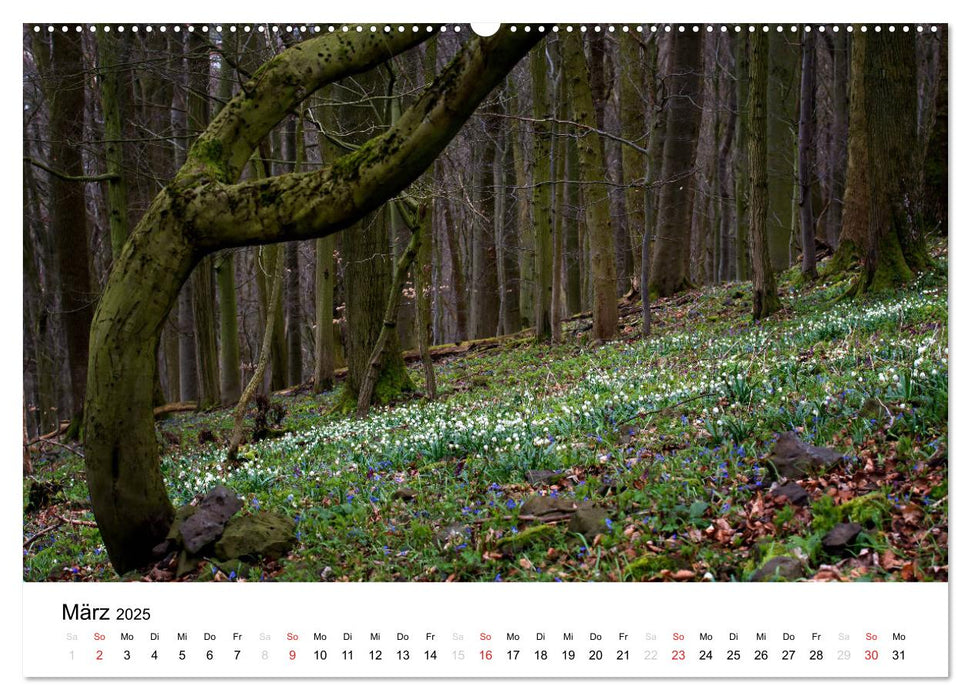 Naturerlebnis im Biosphärenreservat Rhön (CALVENDO Premium Wandkalender 2025)