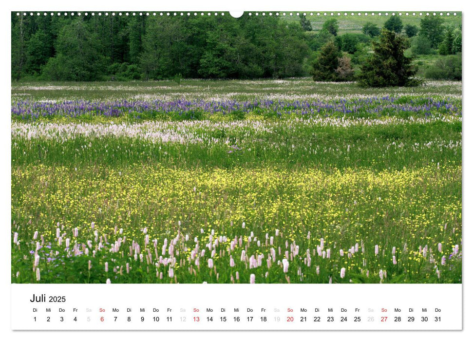 Naturerlebnis im Biosphärenreservat Rhön (CALVENDO Premium Wandkalender 2025)