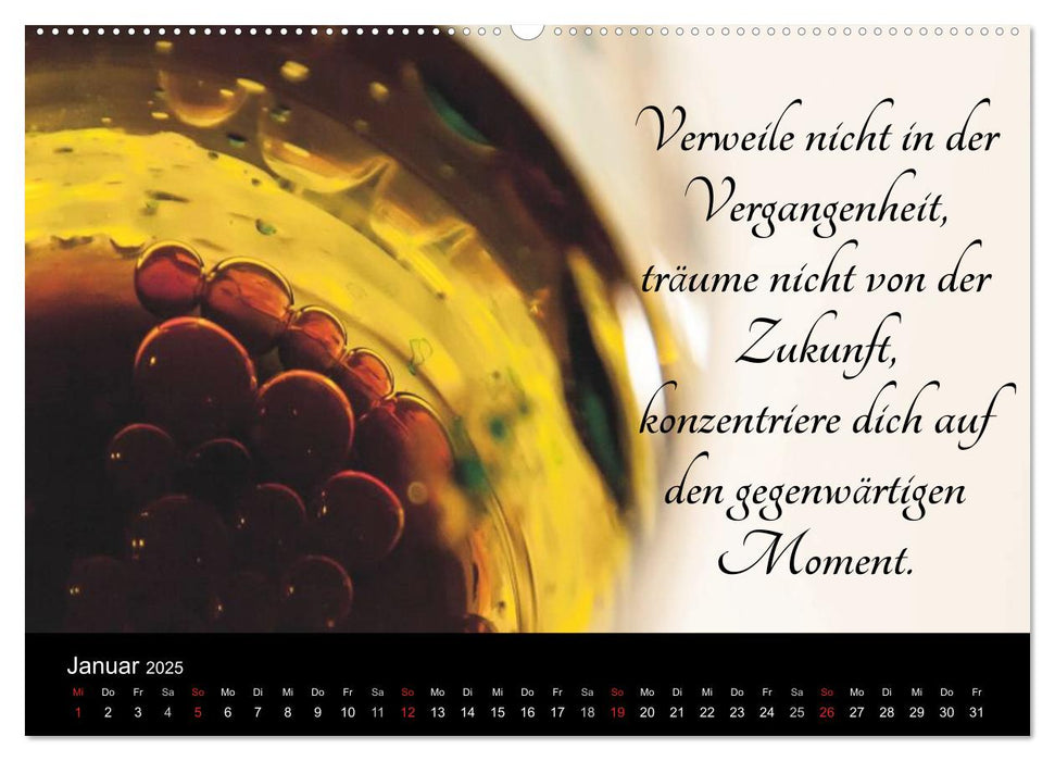 Mit Sprüchen und Weisheiten durch´s Jahr (CALVENDO Premium Wandkalender 2025)