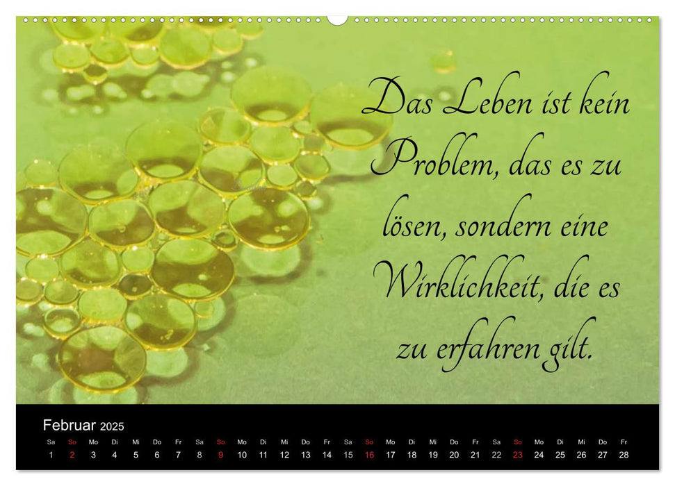 Mit Sprüchen und Weisheiten durch´s Jahr (CALVENDO Premium Wandkalender 2025)