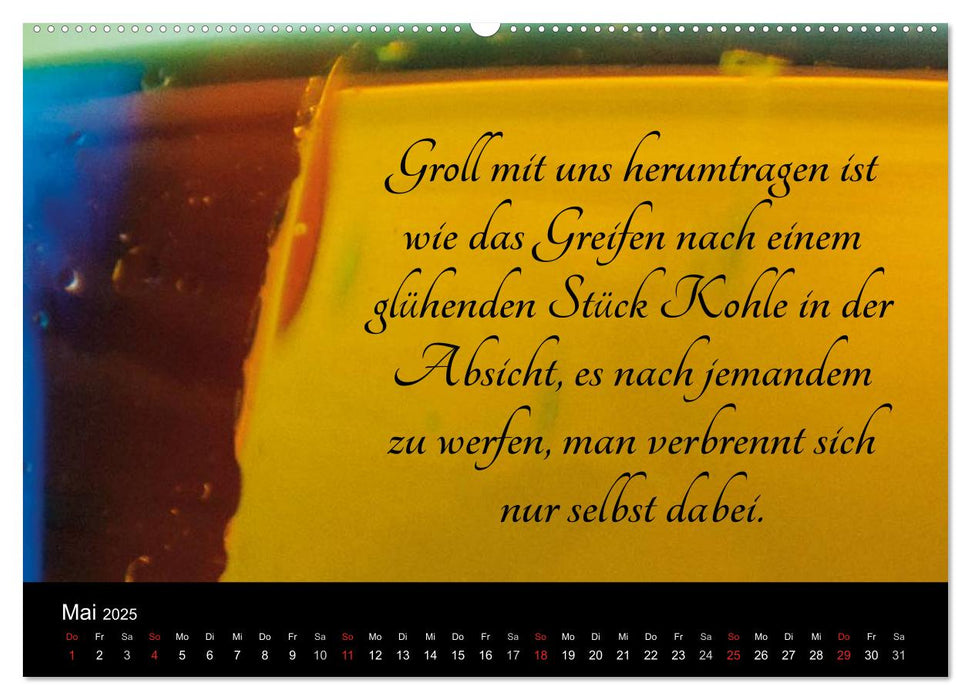 Mit Sprüchen und Weisheiten durch´s Jahr (CALVENDO Premium Wandkalender 2025)