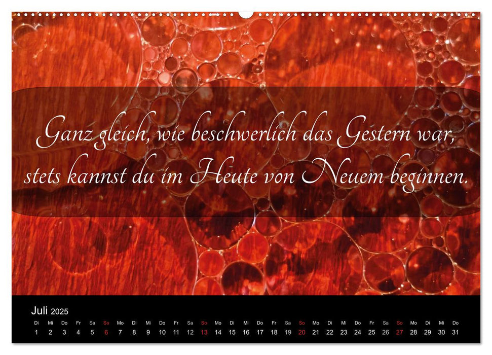 Mit Sprüchen und Weisheiten durch´s Jahr (CALVENDO Premium Wandkalender 2025)