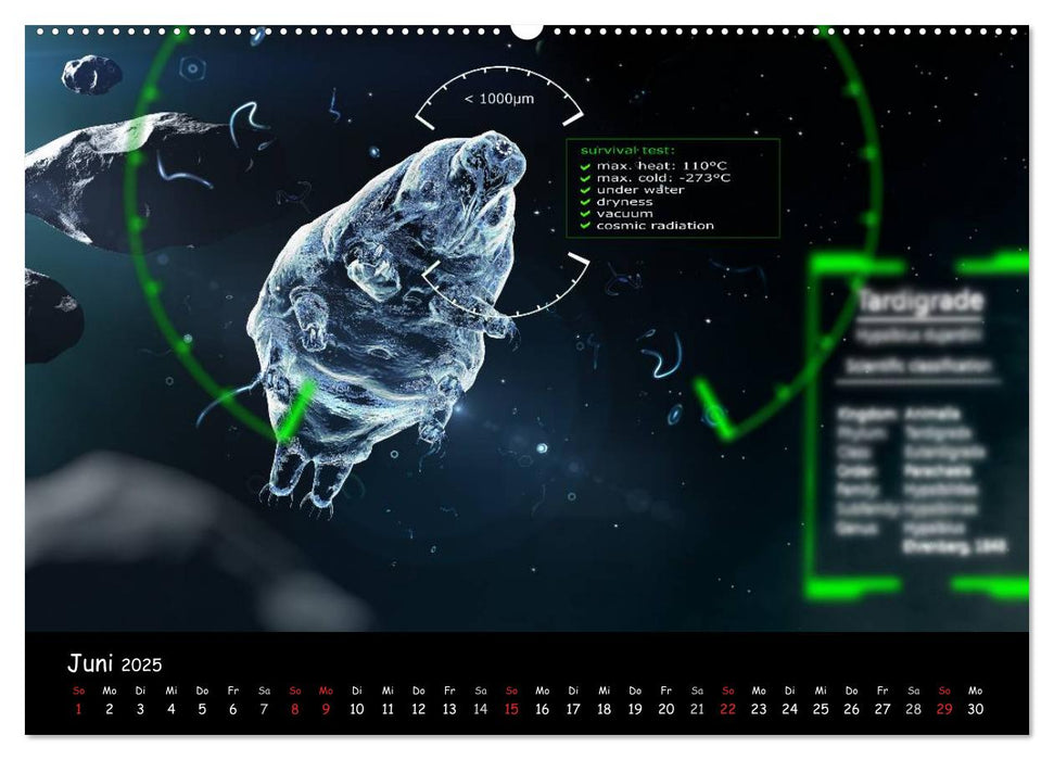 Ein Blick ins Universum - cglightNings digitale Welten (CALVENDO Premium Wandkalender 2025)