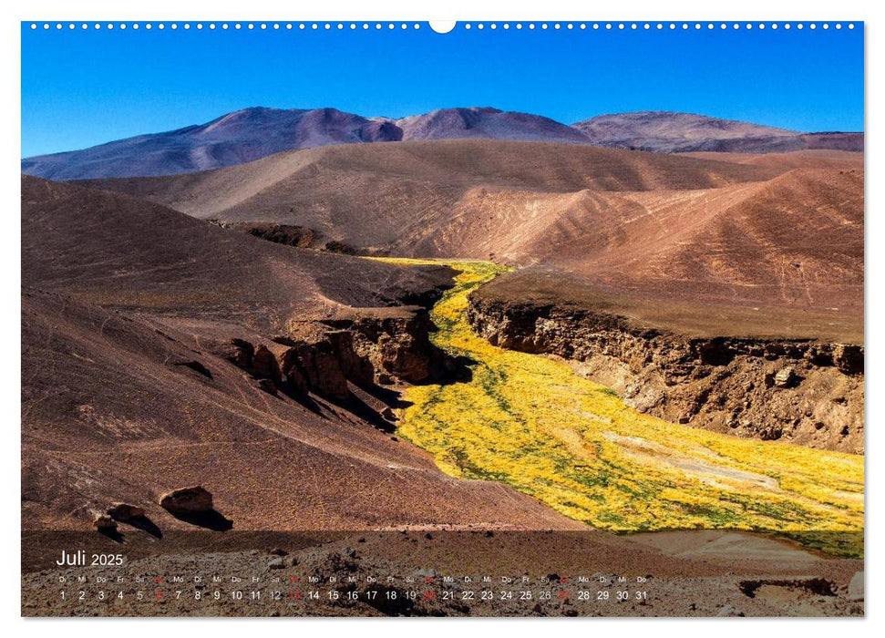 Atacama – Farbsinfonie im Norden Chiles (CALVENDO Premium Wandkalender 2025)