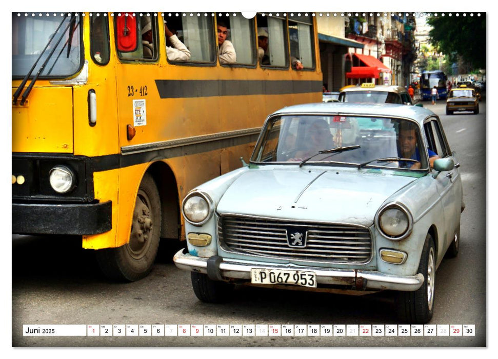 PEUGEOT 404 - Frankreichs Klassiker (CALVENDO Wandkalender 2025)