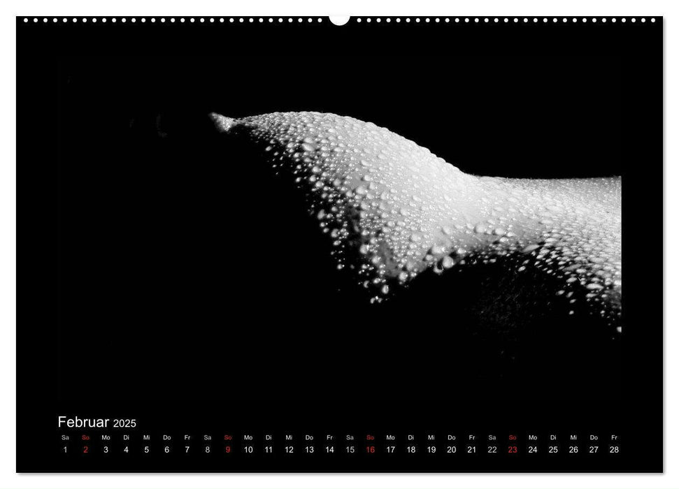 Erotische Körper (CALVENDO Wandkalender 2025)