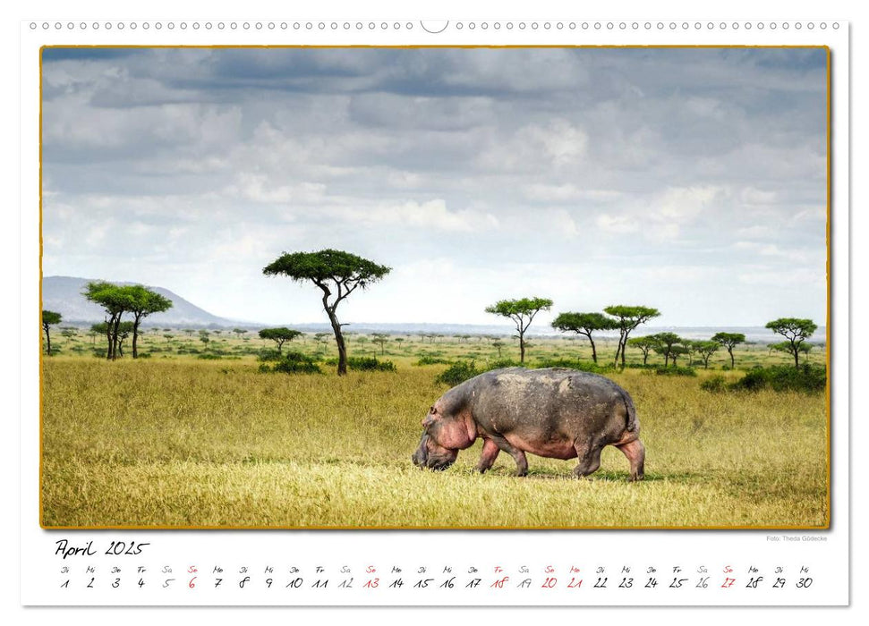 Abenteuer Masai Mara (CALVENDO Wandkalender 2025)