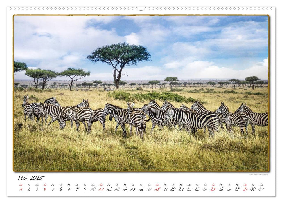 Abenteuer Masai Mara (CALVENDO Wandkalender 2025)