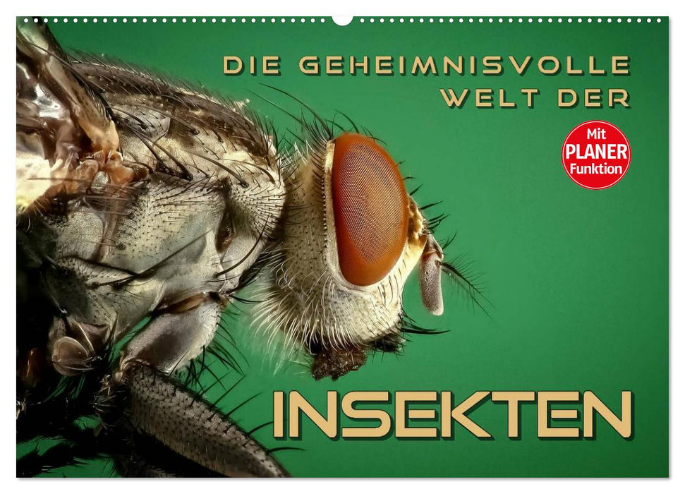 Die geheimnisvolle Welt der Insekten (CALVENDO Wandkalender 2025)