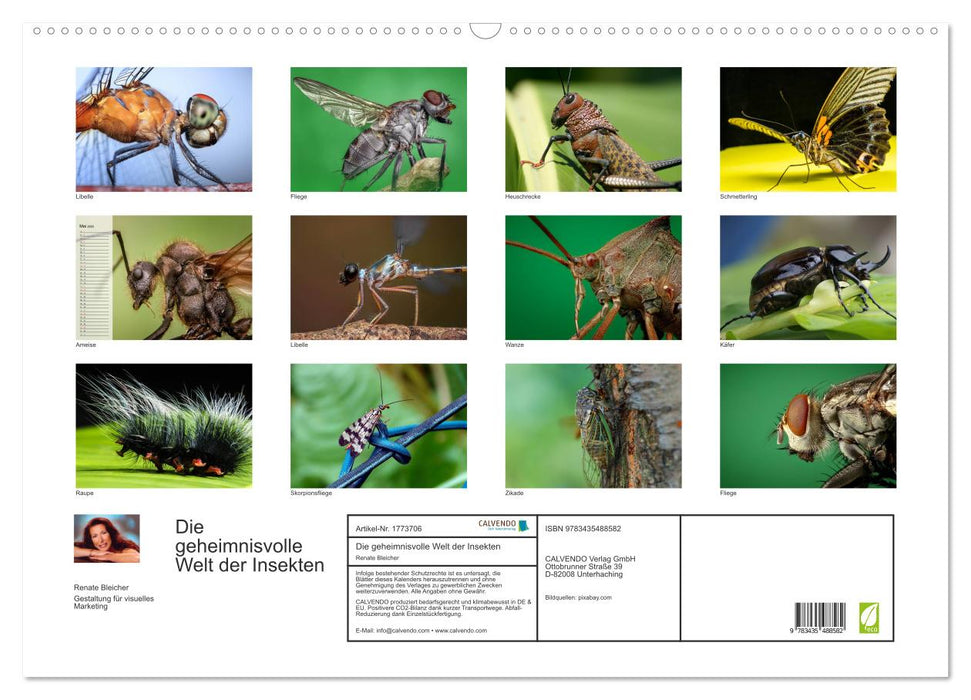 Die geheimnisvolle Welt der Insekten (CALVENDO Wandkalender 2025)