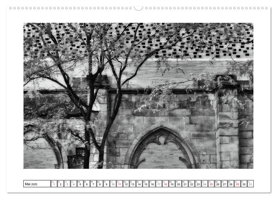 GRAFIK IN DER ARCHITEKTUR (CALVENDO Wandkalender 2025)