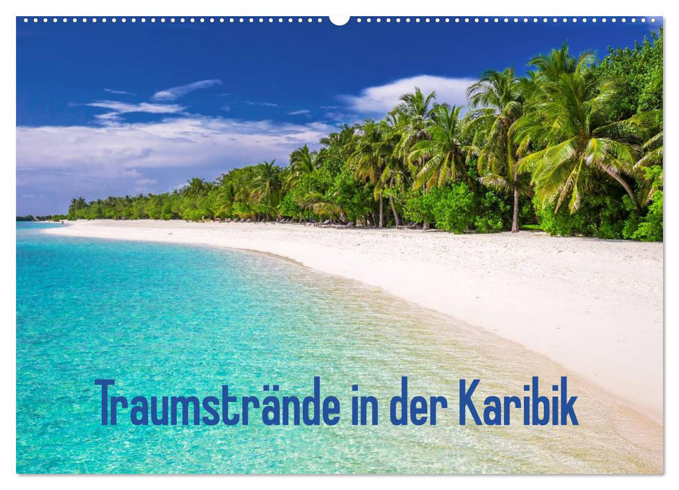 Traumstrände in der Karibik (CALVENDO Wandkalender 2025)