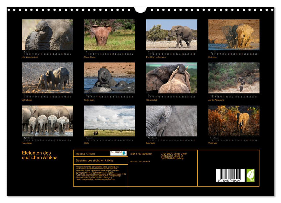 Elefanten des südlichen Afrikas (CALVENDO Wandkalender 2025)