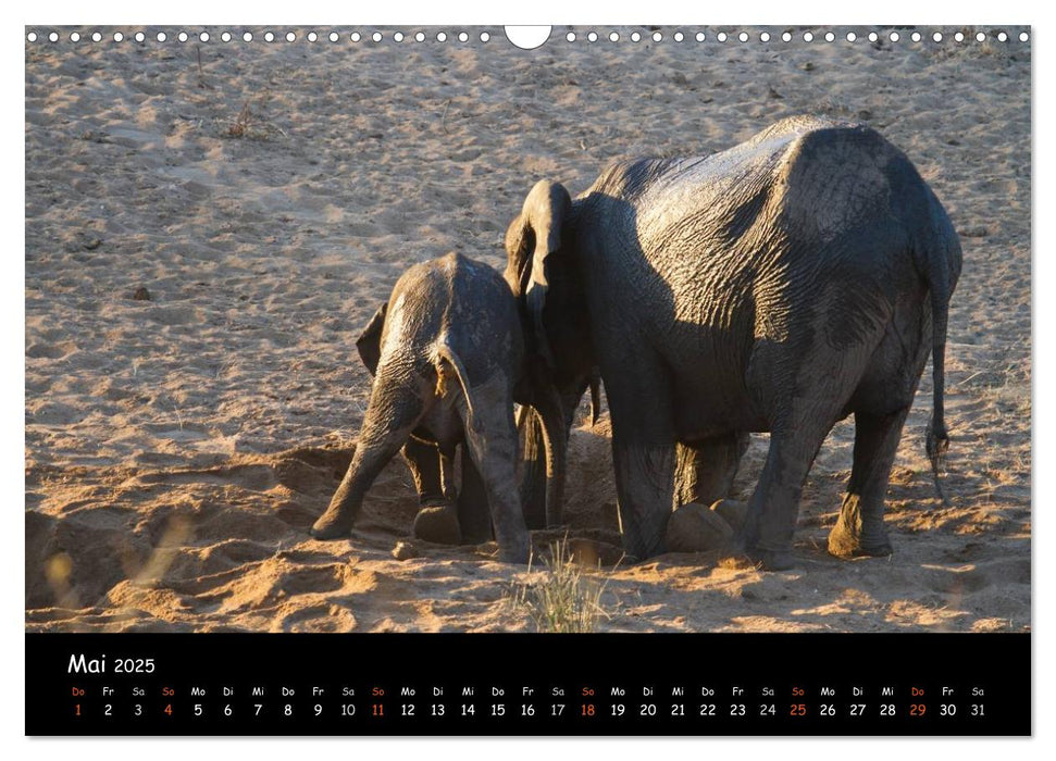 Elefanten des südlichen Afrikas (CALVENDO Wandkalender 2025)