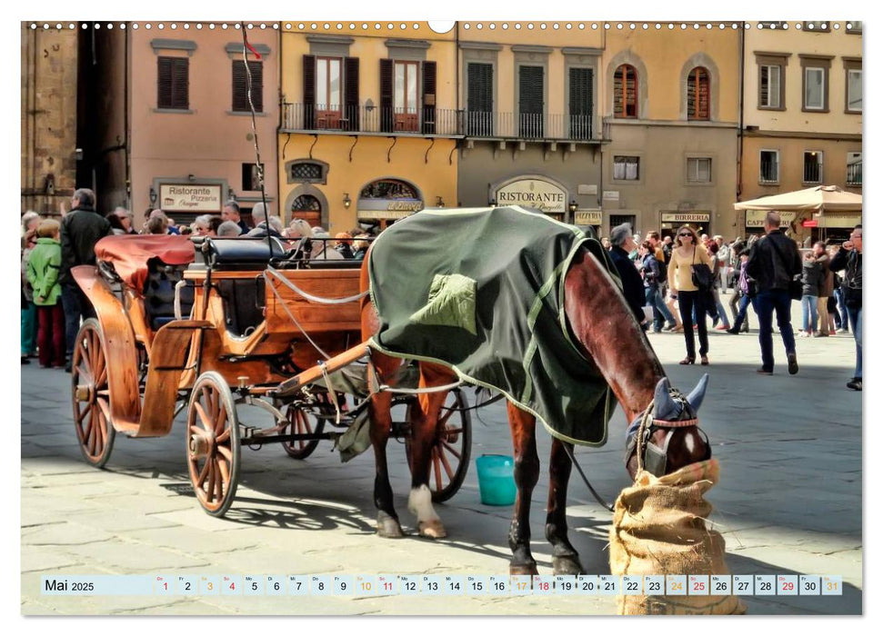 Florenz - Schönheit in der Toskana (CALVENDO Premium Wandkalender 2025)