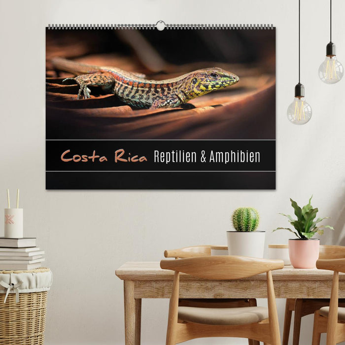 Costa Rica - Reptilien und Amphibien (CALVENDO Wandkalender 2025)