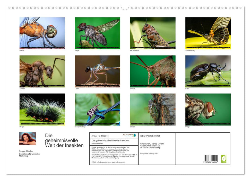 Die geheimnisvolle Welt der Insekten (CALVENDO Wandkalender 2025)