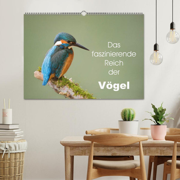 Das faszinierende Reich der Vögel (CALVENDO Wandkalender 2025)