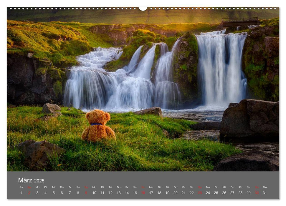 Travelling Teddy 2025 (CALVENDO Premium Wandkalender 2025)