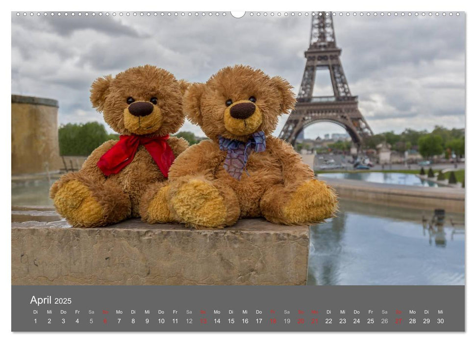 Travelling Teddy 2025 (CALVENDO Premium Wandkalender 2025)