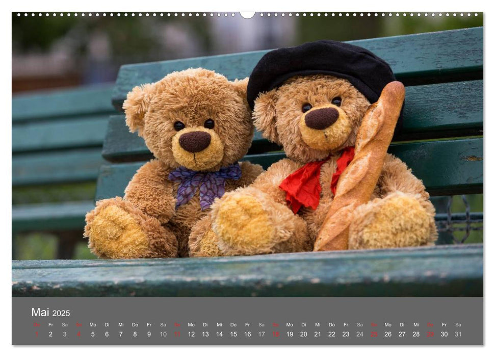 Travelling Teddy 2025 (CALVENDO Premium Wandkalender 2025)