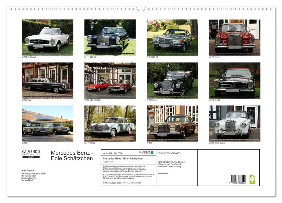 Mercedes Benz - Edle Schätzchen (CALVENDO Wandkalender 2025)