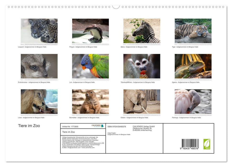 Tiere im Zoo (CALVENDO Premium Wandkalender 2025)