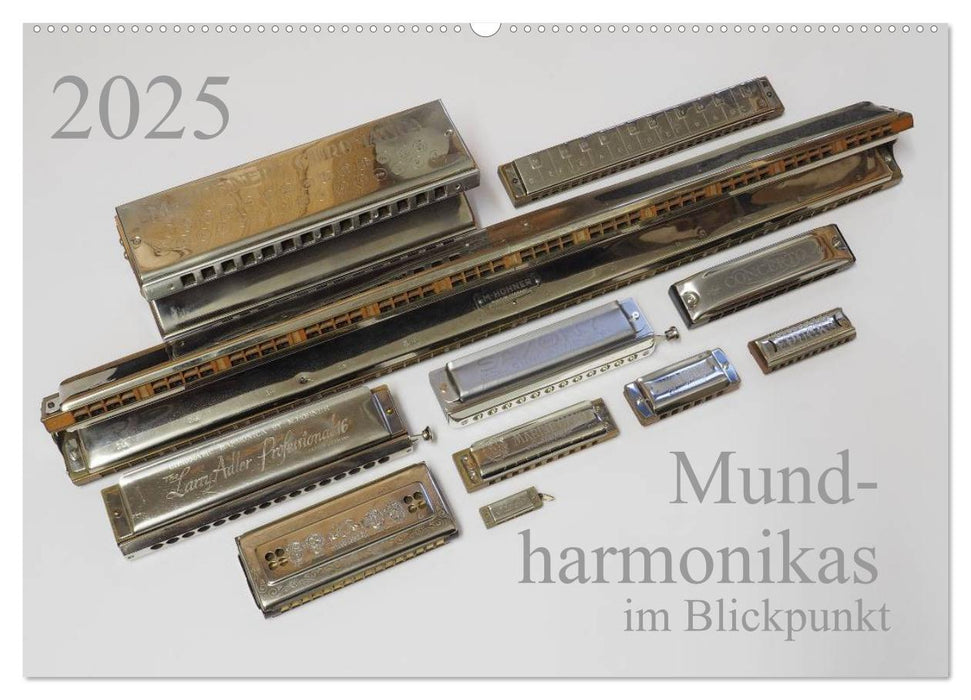 Mundharmonikas im Blickpunkt (CALVENDO Wandkalender 2025)