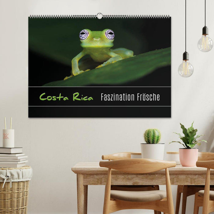 Costa Rica - Faszination Frösche (CALVENDO Wandkalender 2025)