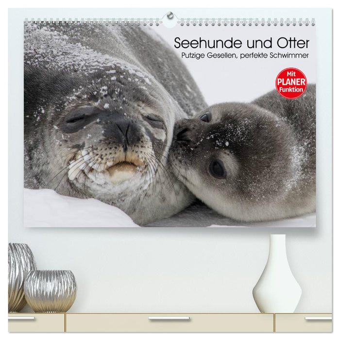 Seehunde und Otter. Putzige Gesellen, perfekte Schwimmer (CALVENDO Premium Wandkalender 2025)