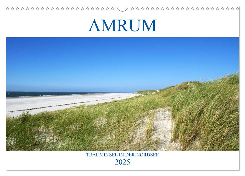 Amrum – Trauminsel in der Nordsee (CALVENDO Wandkalender 2025)