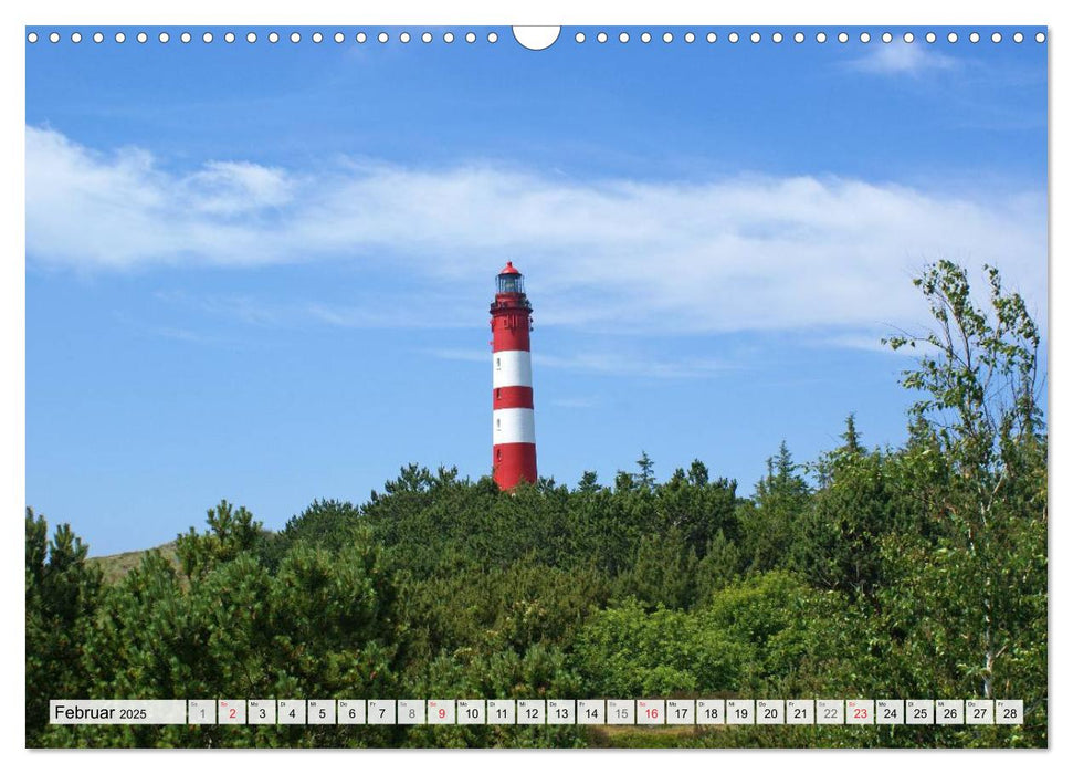 Amrum – Trauminsel in der Nordsee (CALVENDO Wandkalender 2025)