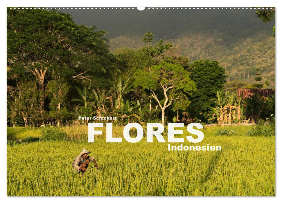 Flores - Indonesien (CALVENDO Wandkalender 2025)