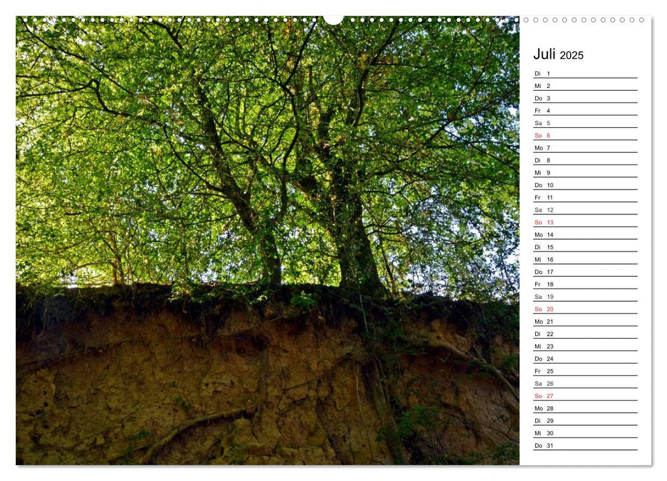 Landschaften des Kraichgaus (CALVENDO Premium Wandkalender 2025)