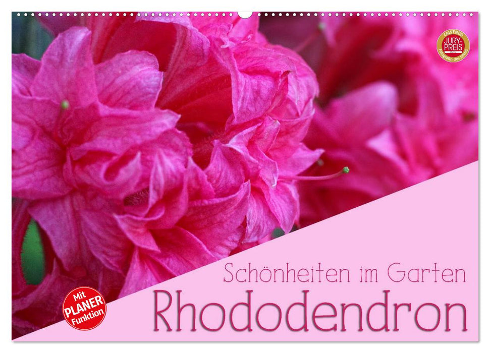 Rhododendron Schönheiten im Garten (CALVENDO Wandkalender 2025)