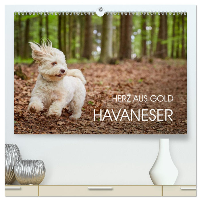 Havaneser - Herz aus Gold (CALVENDO Premium Wandkalender 2025)