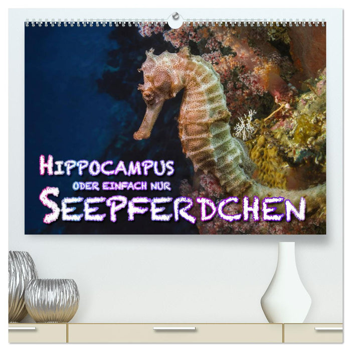 Hippocampus oder einfach nur Seepferdchen (CALVENDO Premium Wandkalender 2025)