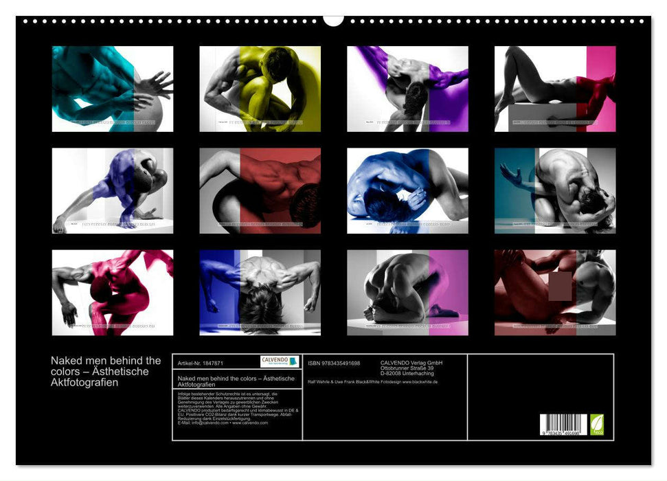 Naked men behind the colors – Ästhetische Aktfotografien (CALVENDO Wandkalender 2025)