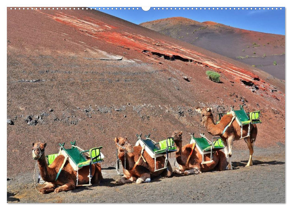 Lanzarote. Wunderwelt der Feuerberge (CALVENDO Wandkalender 2025)