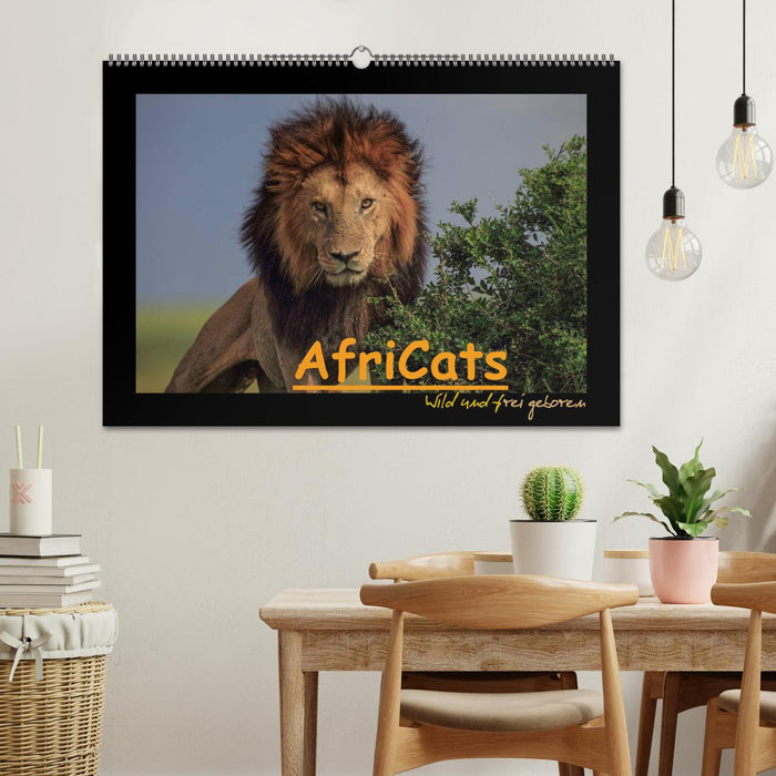 AfriCats (CALVENDO Wandkalender 2025)