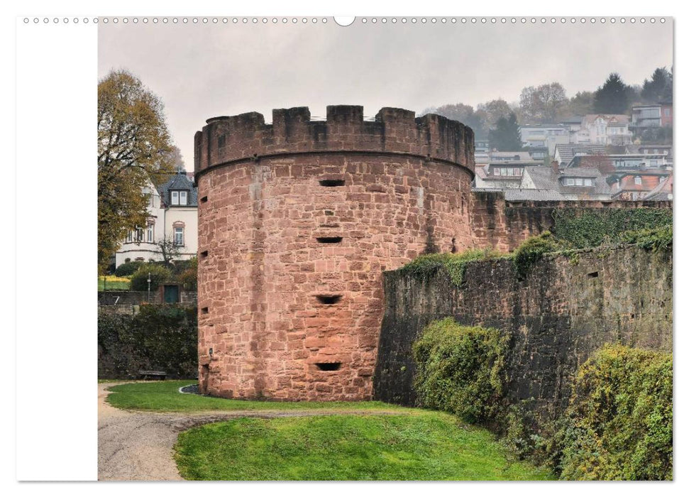 Herrliches Hessen - Büdingen (CALVENDO Premium Wandkalender 2025)