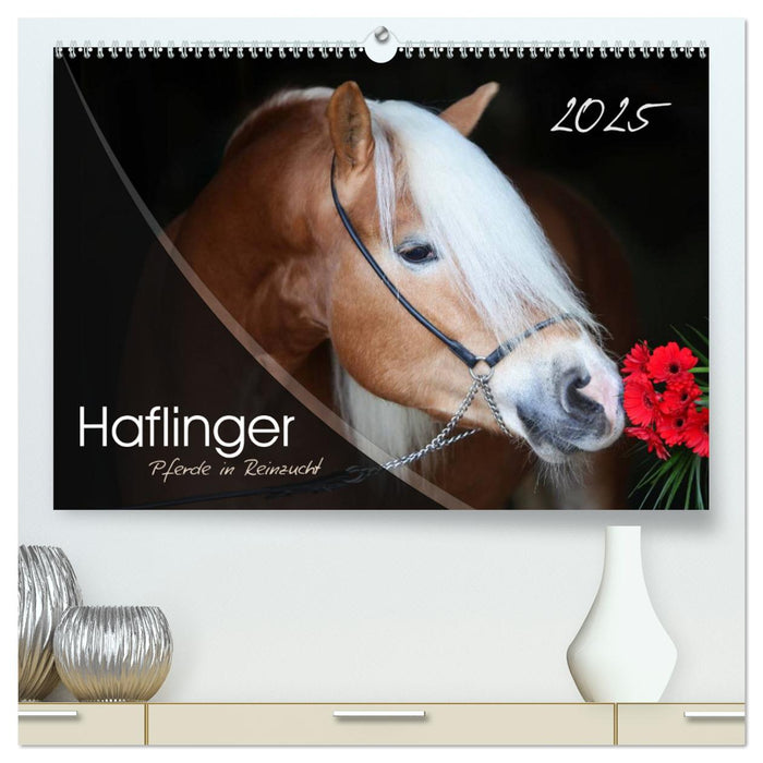 Haflinger-Pferde in Reinzucht (CALVENDO Premium Wandkalender 2025)