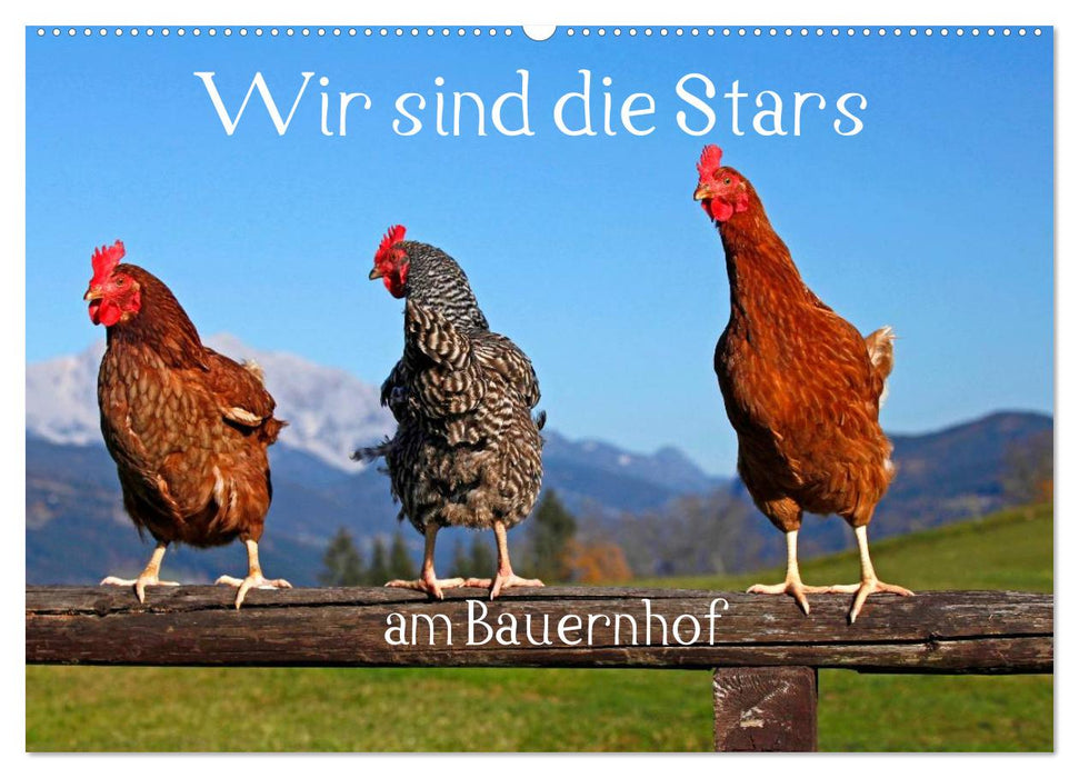 Wir sind die Stars am Bauernhof (CALVENDO Wandkalender 2025)