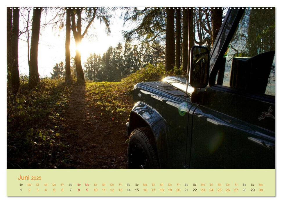 Defender für's Grobe (CALVENDO Premium Wandkalender 2025)