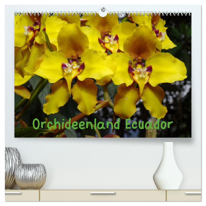 Orchideenland Ecuador (CALVENDO Premium Wandkalender 2025)